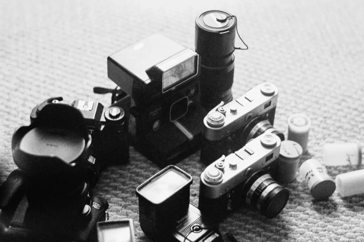 Co sprawdza urząd podczas kontroli bazy danych?